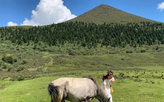 四川成都報(bào)團(tuán)去西藏玩得多少錢？成都進(jìn)藏跟團(tuán)玩要花費(fèi)多少？