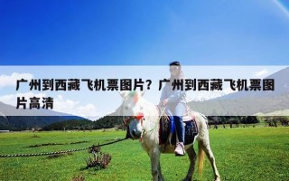 廣州到西藏飛機票圖片？廣州到西藏飛機票圖片高清