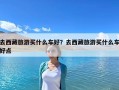 去西藏旅游買什么車好？去西藏旅游買什么車好點