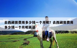 去西藏需費(fèi)用多少錢(qián)一個(gè)月呢？去西藏需費(fèi)用多少錢(qián)一個(gè)月呢英語(yǔ)