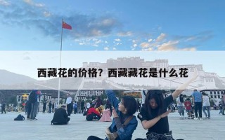 西藏花的價格？西藏藏花是什么花