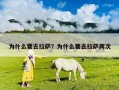 為什么要去拉薩？為什么要去拉薩兩次