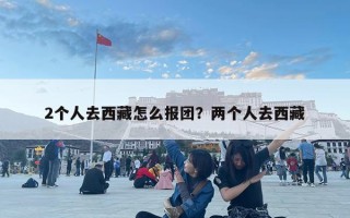 2個(gè)人去西藏怎么報(bào)團(tuán)？?jī)蓚€(gè)人去西藏