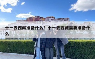 十一去西藏準備什么？十一去西藏需要準備什么
