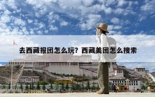 去西藏報團怎么玩？西藏美團怎么搜索
