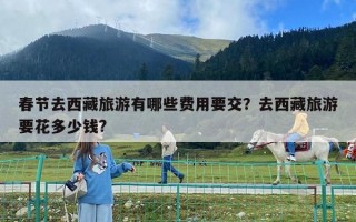 春節去西藏旅游有哪些費用要交？去西藏旅游要花多少錢?