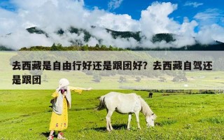 去西藏是自由行好還是跟團好？去西藏自駕還是跟團