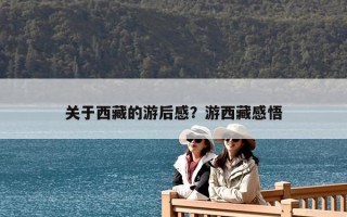 關于西藏的游后感？游西藏感悟