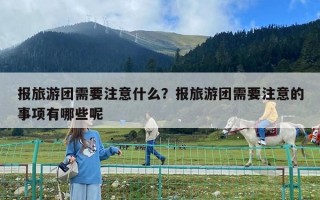 報旅游團需要注意什么？報旅游團需要注意的事項有哪些呢