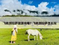 飛機到拉薩旅游攻略？飛機到拉薩怎么玩