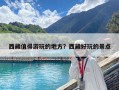 西藏值得游玩的地方？西藏好玩的景點