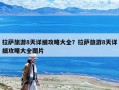 拉薩旅游8天詳細攻略大全？拉薩旅游8天詳細攻略大全圖片