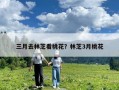 三月去林芝看桃花？林芝3月桃花