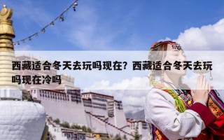 西藏適合冬天去玩嗎現(xiàn)在？西藏適合冬天去玩嗎現(xiàn)在冷嗎