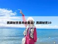 西藏秘密基地必備品？西藏秘密10