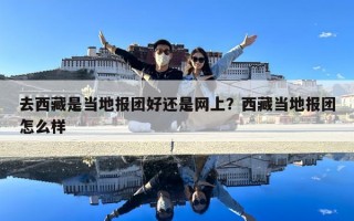 去西藏是當(dāng)?shù)貓髨F好還是網(wǎng)上？西藏當(dāng)?shù)貓髨F怎么樣