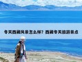 冬天西藏風景怎么樣？西藏冬天旅游景點