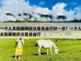 一個人去西藏跟團還是自由行好一點？一個人去西藏報團還是自由行
