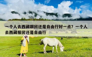 一個人去西藏跟團還是自由行好一點？一個人去西藏報團還是自由行