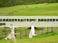 去西藏旅游有自由行導游嗎？西藏旅游需要導游嗎