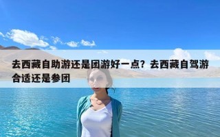 去西藏自助游還是團游好一點？去西藏自駕游合適還是參團