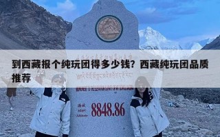 到西藏報個純玩團得多少錢？西藏純玩團品質推薦