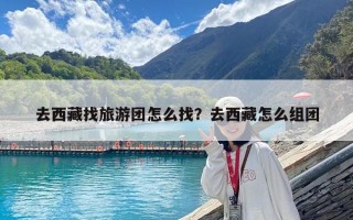 去西藏找旅游團怎么找？去西藏怎么組團