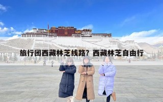 旅行團西藏林芝線路？西藏林芝自由行