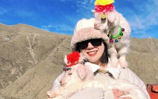 一個人去拉薩玩要多少錢？一個人報團拉薩旅游團費用要多少？