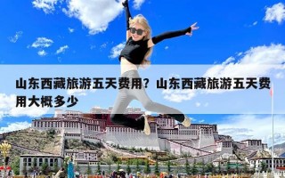 山東西藏旅游五天費用？山東西藏旅游五天費用大概多少