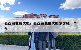 去西藏費(fèi)用大概？去西藏費(fèi)用大概多少錢一個(gè)月