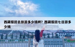 西藏報(bào)團(tuán)去旅游多少錢??？西藏報(bào)團(tuán)七日游多少錢