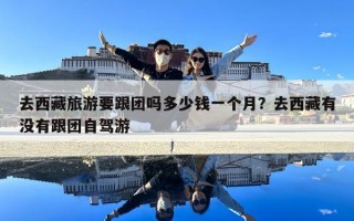去西藏旅游要跟團嗎多少錢一個月？去西藏有沒有跟團自駕游