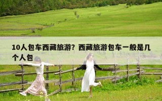 10人包車西藏旅游？西藏旅游包車一般是幾個人包