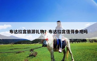 布達拉宮旅游禮物？布達拉宮值得參觀嗎