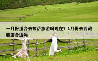 一月份適合去拉薩旅游嗎現在？1月份去西藏旅游合適嗎
