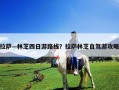 拉薩—林芝四日游路線？拉薩林芝自駕游攻略