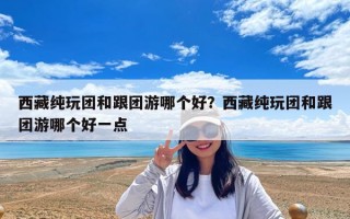 西藏純玩團和跟團游哪個好？西藏純玩團和跟團游哪個好一點