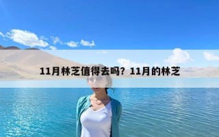 11月林芝值得去嗎？11月的林芝