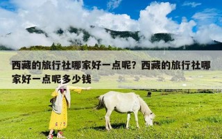 西藏的旅行社哪家好一點(diǎn)呢？西藏的旅行社哪家好一點(diǎn)呢多少錢(qián)