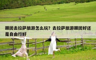跟團去拉薩旅游怎么玩？去拉薩旅游跟團好還是自由行好