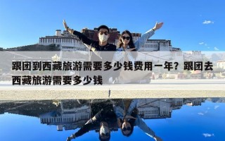 跟團到西藏旅游需要多少錢費用一年？跟團去西藏旅游需要多少錢