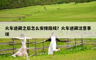 火車進(jìn)藏之后怎么安排路線？火車進(jìn)藏注意事項(xiàng)