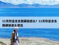 11月份適合去西藏旅游么？11月份適合去西藏旅游么現在