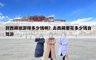 到西藏旅游得多少錢啊？去西藏要花多少錢自駕游