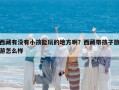 西藏有沒有小孩能玩的地方啊？西藏帶孩子旅游怎么樣
