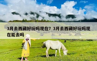 3月去西藏好玩嗎現在？3月去西藏好玩嗎現在能去嗎