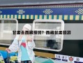甘肅去西藏報團？西藏甘肅旅游