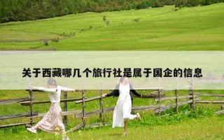 關于西藏哪幾個旅行社是屬于國企的信息
