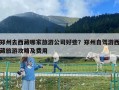 鄭州去西藏哪家旅游公司好些？鄭州自駕游西藏旅游攻略及費用